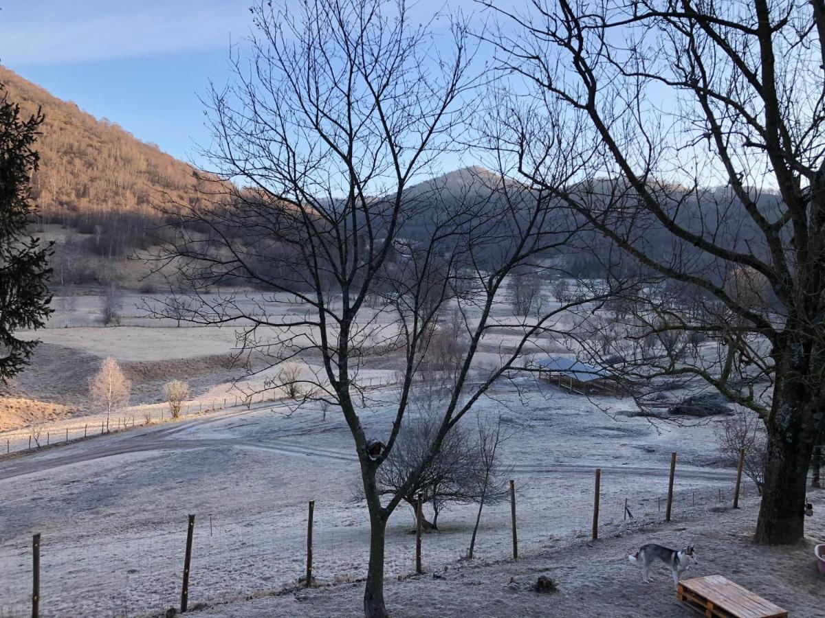 B&B Le Petit Vent Sormano ภายนอก รูปภาพ