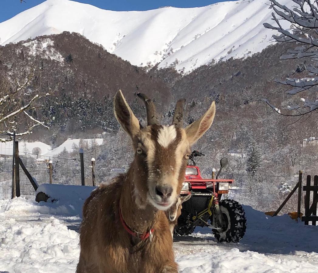 B&B Le Petit Vent Sormano ภายนอก รูปภาพ