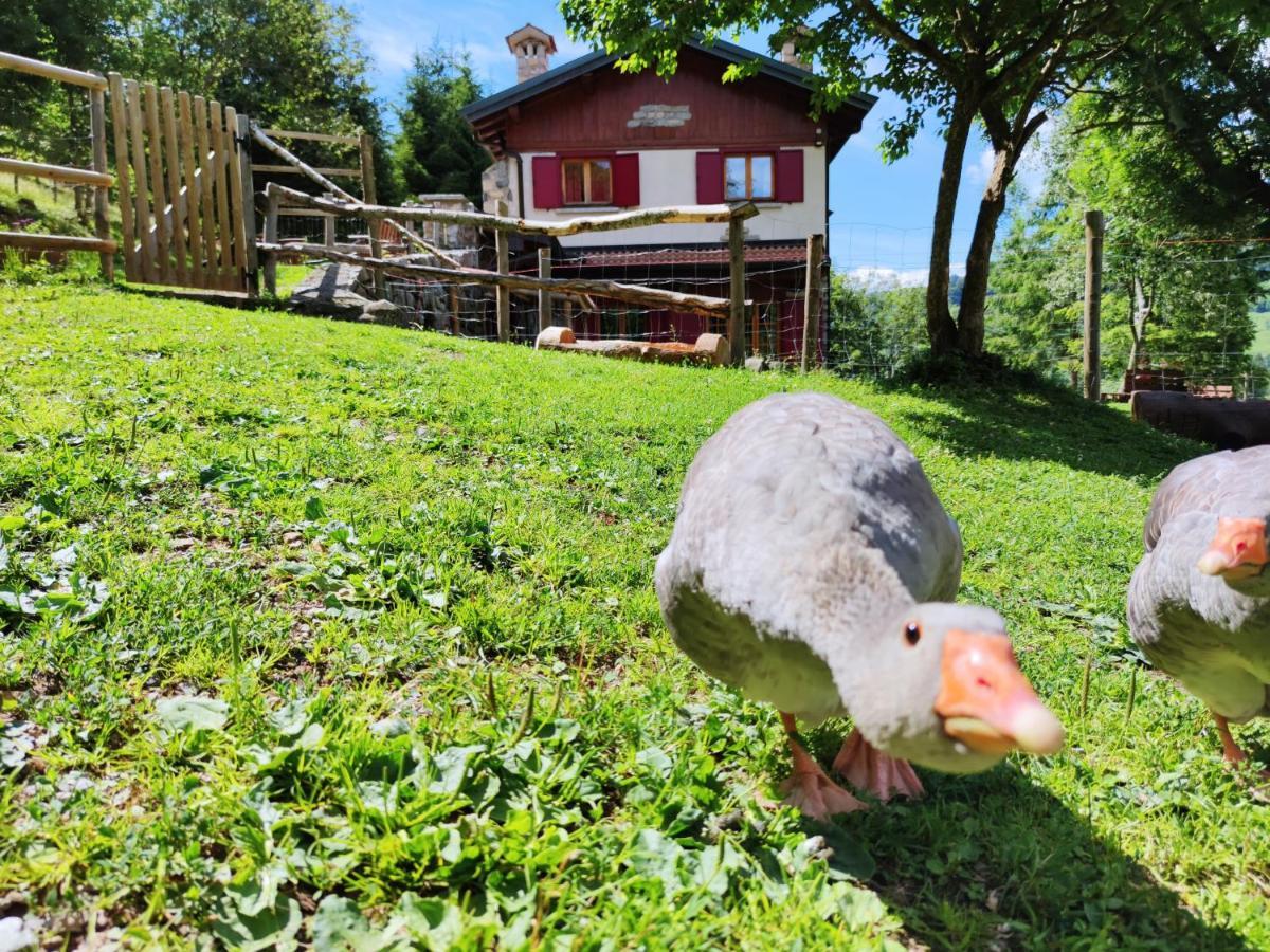 B&B Le Petit Vent Sormano ภายนอก รูปภาพ