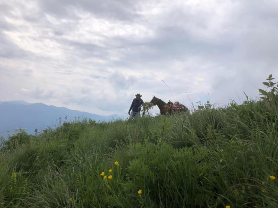 B&B Le Petit Vent Sormano ภายนอก รูปภาพ